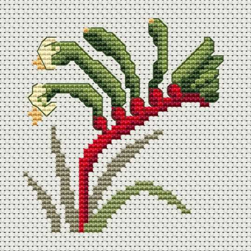 Kangaroo Paw counted cross stitch kit with hoop 